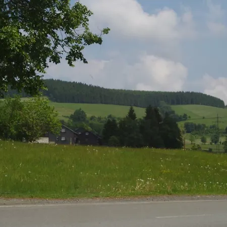 Das Gelbe Haus 1 * Winterberg